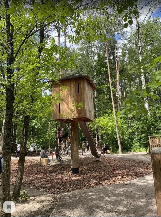 Фото Площадка Город птиц в Мещерском парке - развлечение в Москве | Досугатор